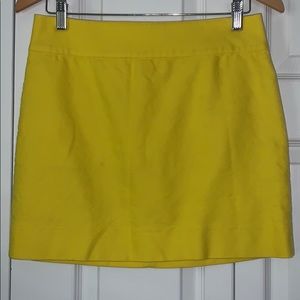 J. Crew Skirt
